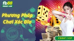 Phương Pháp Chơi Xóc Đĩa Hay, Giúp Bạn Thắng Lớn Liên Tục