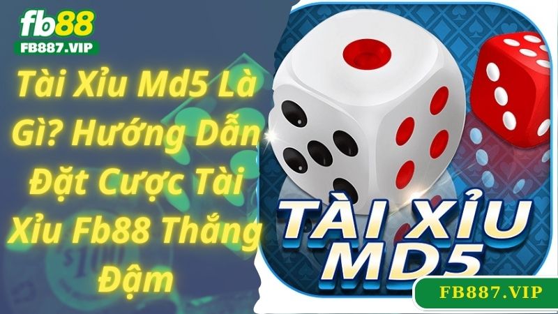 Tài Xỉu Md5 Là Gì? Hướng Dẫn Đặt Cược Tài Xỉu Fb88 Thắng Đậm